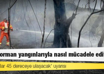 İtalya orman yangınlarıyla nasıl mücadele ediyor?
