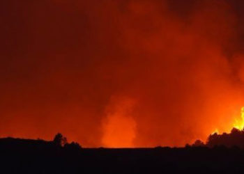İtalya'da orman yangınları: 3 kişi hayatını kaybetti, Calabria yönetimi bölge için OHAL istedi