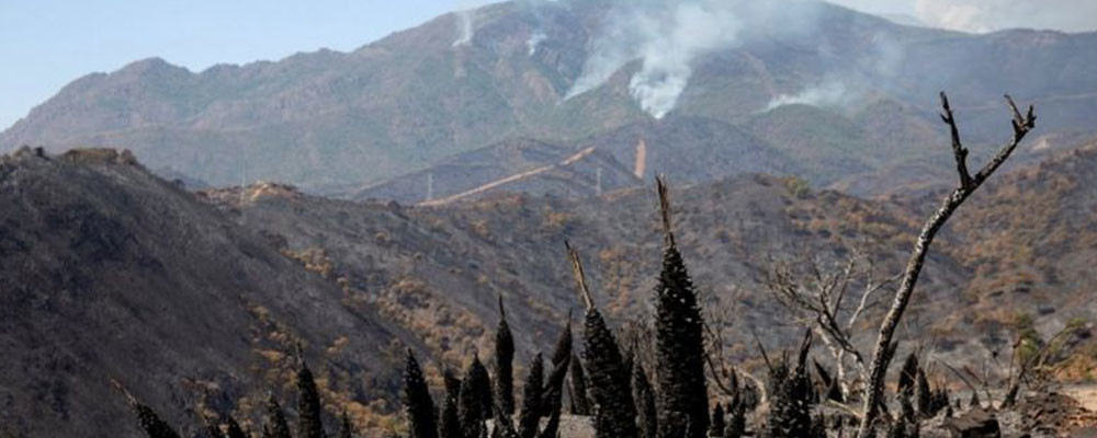 İspanya’da yangınlar: 2 bin kişi evini terk etmek zorunda kaldı