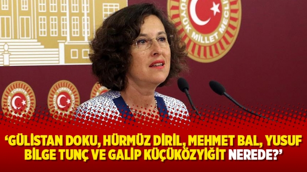 ‘Gülistan Doku, Hürmüz Diril, Mehmet Bal, Yusuf Bilge Tunç ve Galip Küçüközyiğit nerede?’