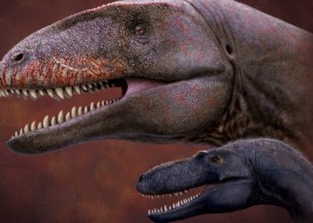 1.5 ton ağırlığındaki en büyük yırtıcı dinozor türüne Uluğ Bey’in adı verildi