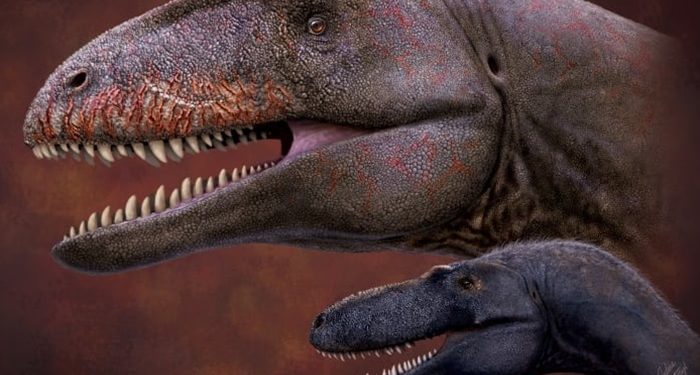 1.5 ton ağırlığındaki en büyük yırtıcı dinozor türüne Uluğ Bey’in adı verildi