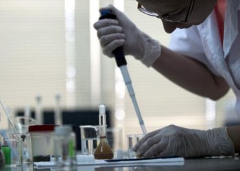 AB ‘nitelikli göçmen’ çekmek için mavi kart uygulamasını esnetti