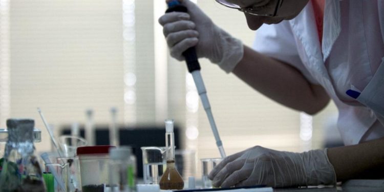 AB ‘nitelikli göçmen’ çekmek için mavi kart uygulamasını esnetti