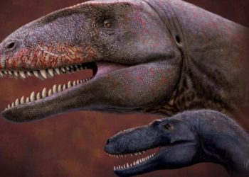 Özbekistan’da keşfedilen en büyük yırtıcı dinozor türüne Uluğ Bey’in adı verildi