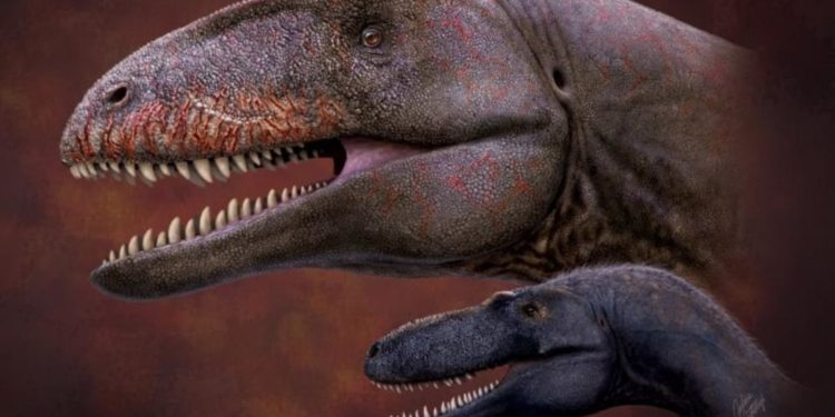 Özbekistan’da keşfedilen en büyük yırtıcı dinozor türüne Uluğ Bey’in adı verildi