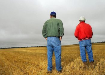 ‘Yeşil feminen stereotip’ olgusu nedir? İklim krizi ‘erkek’ eliyle gelen bir felaket mi?