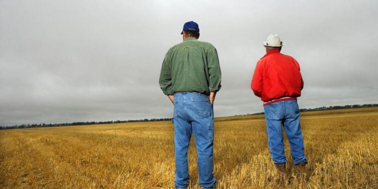 ‘Yeşil feminen stereotip’ olgusu nedir? İklim krizi ‘erkek’ eliyle gelen bir felaket mi?