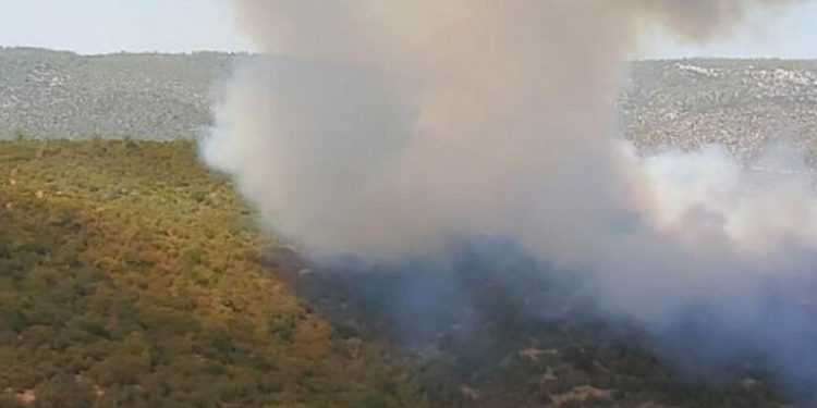 3 kentte yangın: Müdahale yetersiz