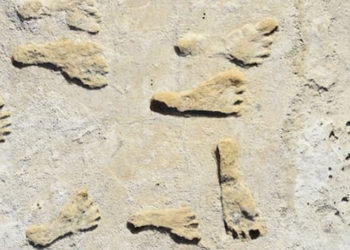 ABD'de ilk yerleşim teorilerini değiştirecek keşif: 23 bin yıllık izler