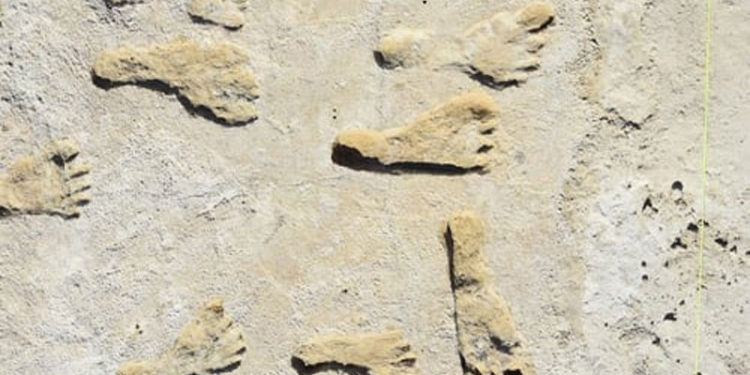 ABD'de ilk yerleşim teorilerini değiştirecek keşif: 23 bin yıllık izler