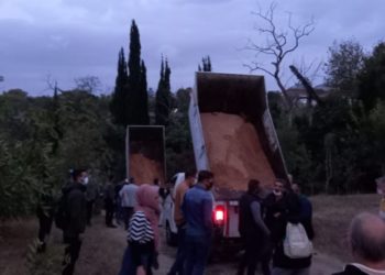 AKP’li Başkan’dan Validebağ Korusu’na şafak operasyonu