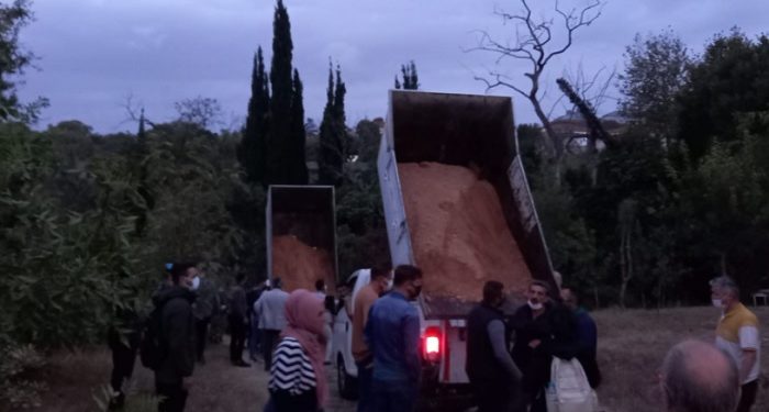 AKP’li Başkan’dan Validebağ Korusu’na şafak operasyonu