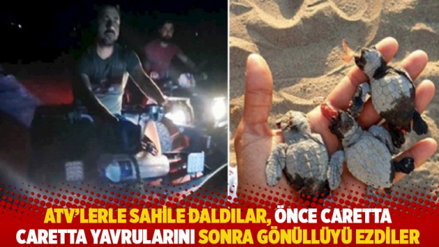 ATV'lerle sahile daldılar, önce caretta caretta yavrularını sonra gönüllüyü ezdiler