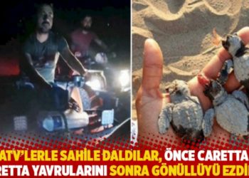 ATV'lerle sahile daldılar, &ouml;nce caretta caretta yavrularını sonra g&ouml;n&uuml;ll&uuml;y&uuml; ezdiler