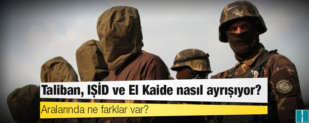 Afganistan: Taliban, IŞİD ve El Kaide nasıl ayrışıyor, aralarında ne farklar var?