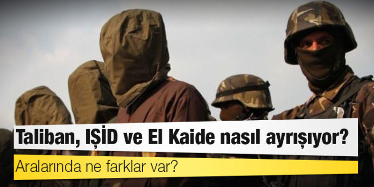 Afganistan: Taliban, IŞİD ve El Kaide nasıl ayrışıyor, aralarında ne farklar var?