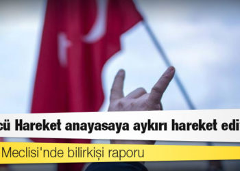 Alman Meclisi'nde bilirkişi raporu: Ülkücü Hareket anayasaya aykırı hareket ediyor