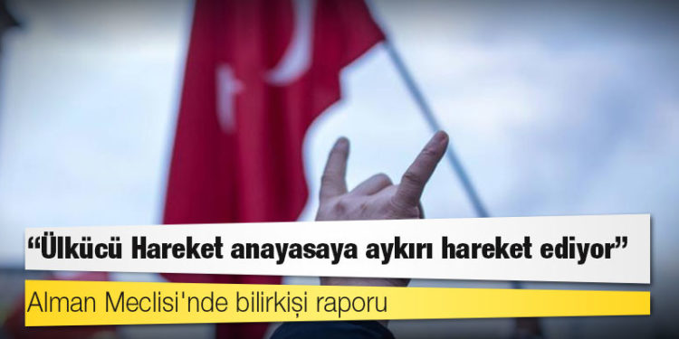 Alman Meclisi'nde bilirkişi raporu: Ülkücü Hareket anayasaya aykırı hareket ediyor