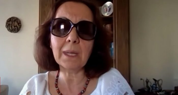 Anayasa Profesörü Serap Yazıcı: Hukuksuz OHAL KHK’larına seyirci kalmayacağız