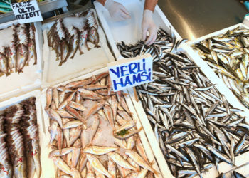 Balıkçılar fiyatların düşmesi için deniz suyunun soğumasını bekliyor