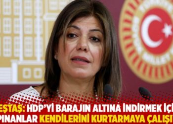 Beştaş: HDP&rsquo;yi barajın altına indirmek i&ccedil;in &ccedil;ırpınanlar kendilerini kurtarmaya &ccedil;alışıyor