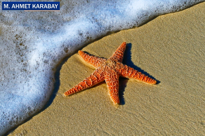 Bir tatil beldesindeki sohbet ve ‘ehl-i necat’ tuzağı