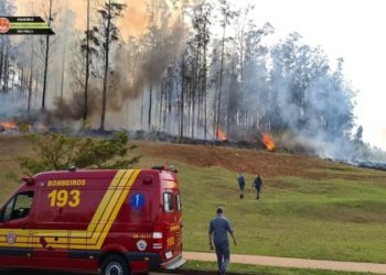 Brezilya’da uçak düştü: 7 ölü