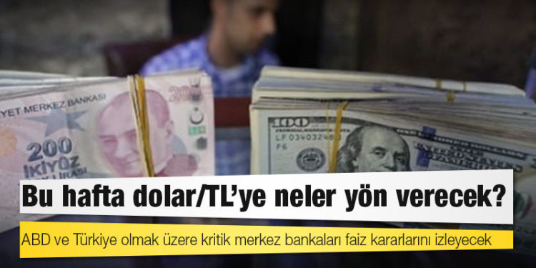 Bu hafta dolar/TL’ye neler yön verecek?