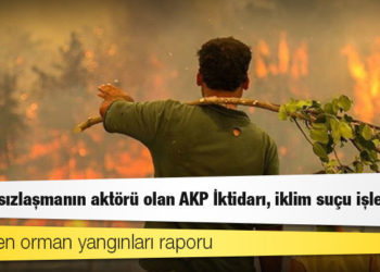 CHP'den orman yangınları raporu: Ormansızlaşmanın aktörü olan AKP İktidarı, iklim suçu işlemiştir