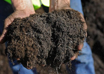 CHP'li Yalım'a konuşan üretici: Gübre alamadık, biz ekmedik mi kimse yiyemez; çiftçisine destek olmayan aç kalsın