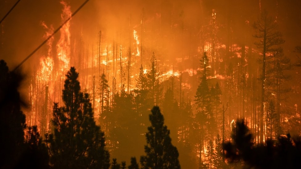 Caldor Yangını: California'da on binlerce kişi tahliye edildi