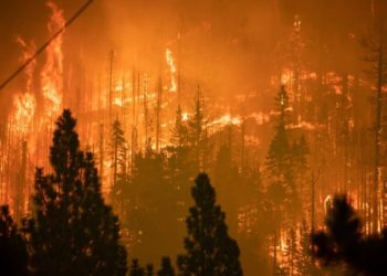 Caldor Yangını: California'da on binlerce kişi tahliye edildi