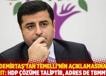 Demirtaş&rsquo;tan Temelli&rsquo;nin a&ccedil;ıklamasına yanıt: HDP &ccedil;&ouml;z&uuml;me taliptir, adres de TBMM&rsquo;dir