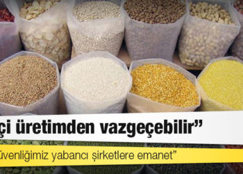 Gümrük vergisinin sıfırlanması gıda enflasyonunu düşürebilecek mi?