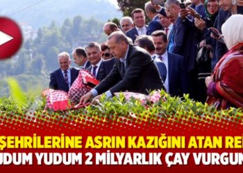Hemşehrilerine asrın kazığını atan Reis&rsquo;in yudum yudum 2 milyarlık &ccedil;ay vurgunu