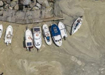 Karaismailoğlu: Müsilaj suyun hareketsizliği nedeniyle de oluşuyor, Kanal İstanbul oradaki hareketi artıracak