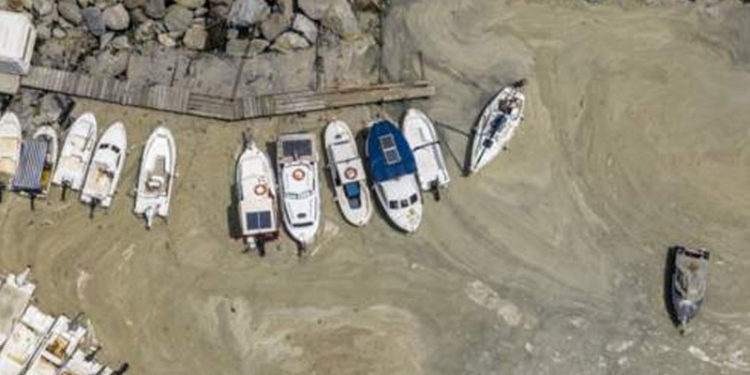 Karaismailoğlu: Müsilaj suyun hareketsizliği nedeniyle de oluşuyor, Kanal İstanbul oradaki hareketi artıracak