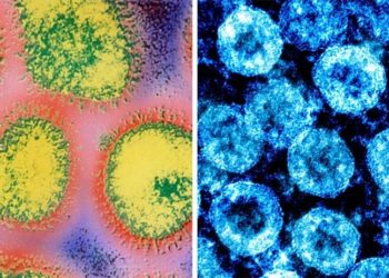 Kış kapıda: Koronavirüsle grip nasıl ayırt edilecek?