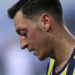 Mesut Özil oy vereceği partiyi açıkladı