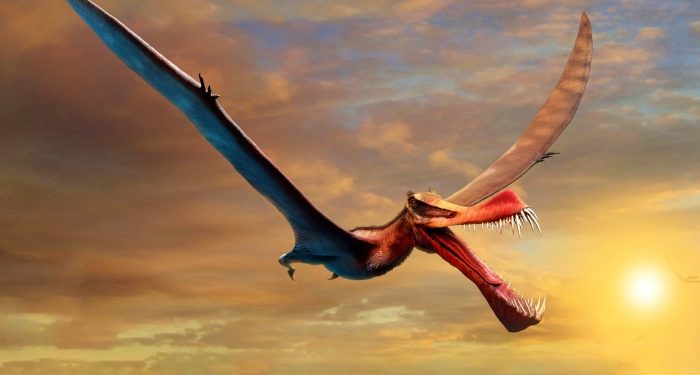 Milyonlarca yıl önce yaşamış ‘ejderhalar’ geleceğe ışık tutuyor