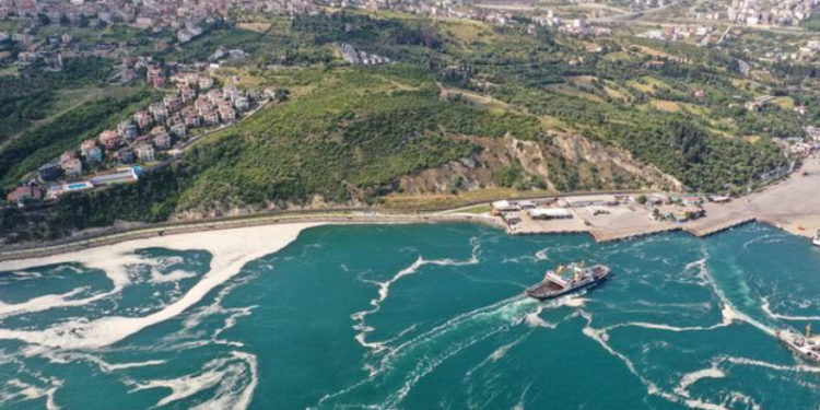 Müsilaj: Marmara'da tehlike sürüyor