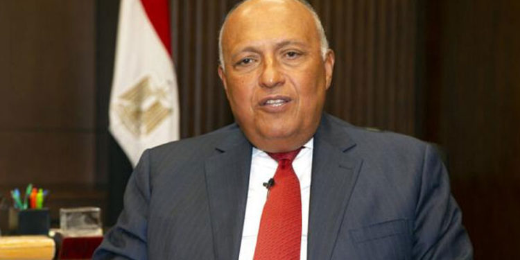 Mısır ve Suriye dışişleri bakanları 10 yıl sonra ilk kez bir araya geldi