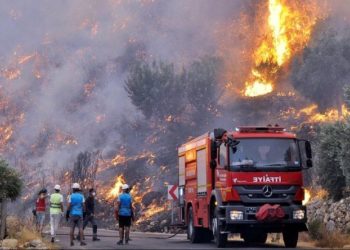 Orman Genel Müdürlüğü 155 adet arazi aracını AKP ve MHP’li belediyelere bedelsiz vermiş!