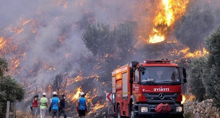 Orman Genel Müdürlüğü 155 adet arazi aracını AKP ve MHP’li belediyelere bedelsiz vermiş!