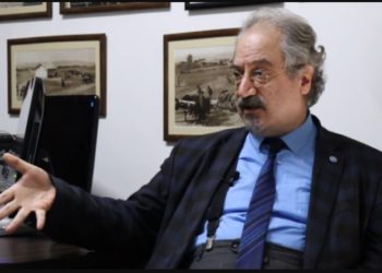 Prof. Dr. Vedat Bulut: ‘Sinovac getirerek Türkiye en baştan hata yaptı’