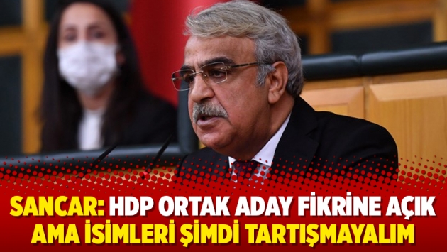 Sancar: HDP ortak aday fikrine açık ama isimleri şimdi tartışmayalım