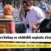 Taliban kadınları kırbaç ve elektrikli coplarla dövdü, taciz etti