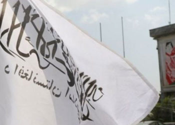 Taliban sözcüsü BBC'ye konuştu: 2 gün içinde yeni hükümeti açıklayabiliriz, kadın bakan olmayacak