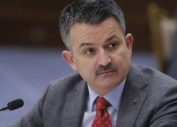 Tarım ve Orman Bakanı Pakdemirli: 5 yangın söndürme uçağı alıyoruz